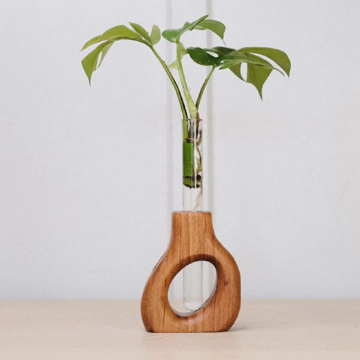 Slant Prop - 5-1.jpg