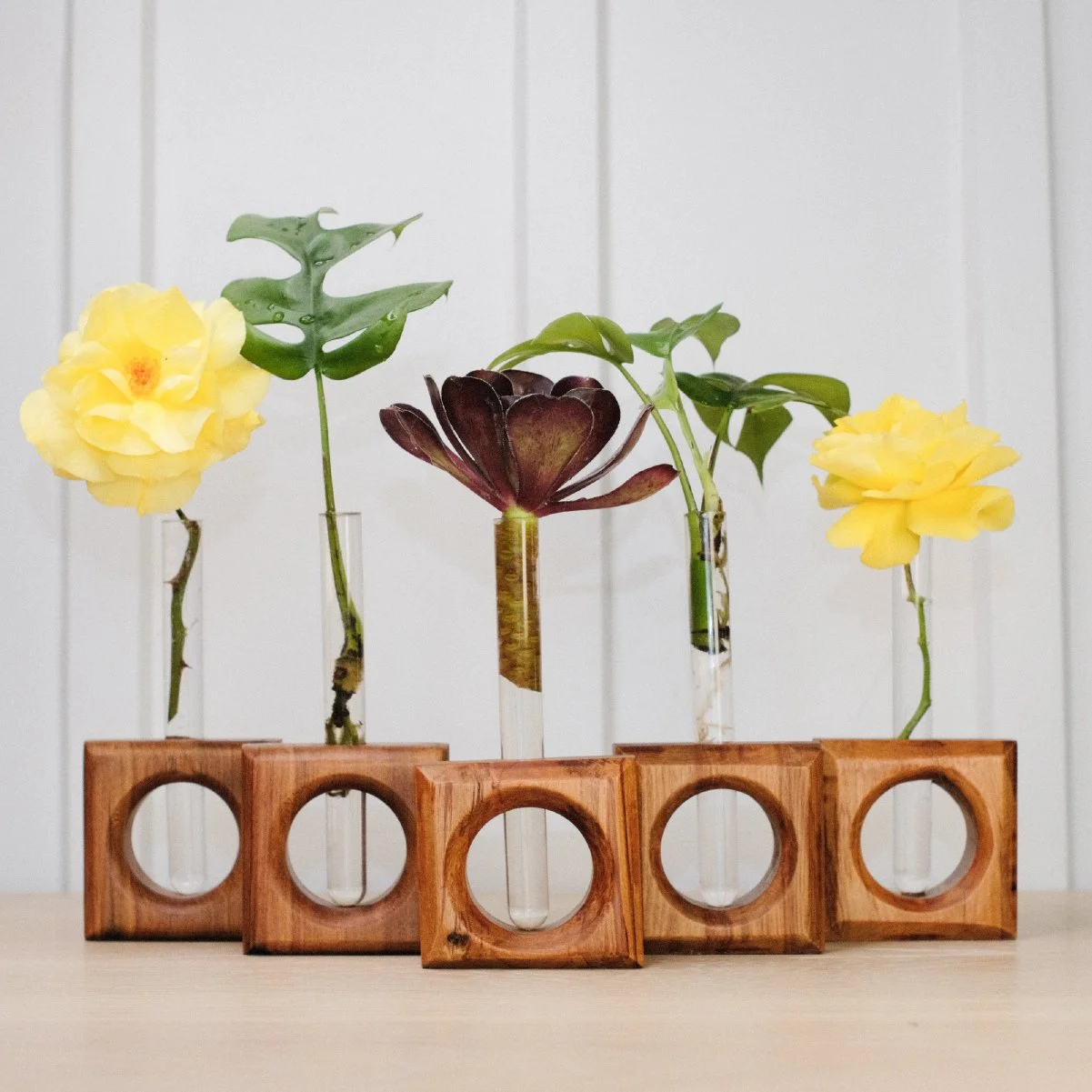 Rimu Square Propagation Station