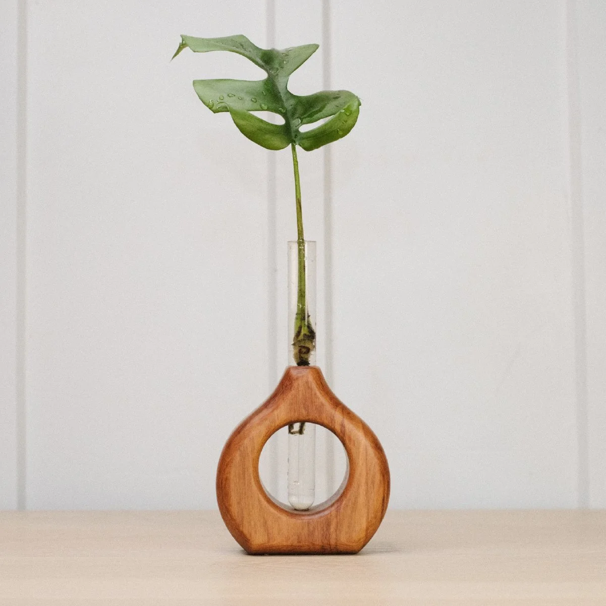 Round Prop - 3-2.jpg