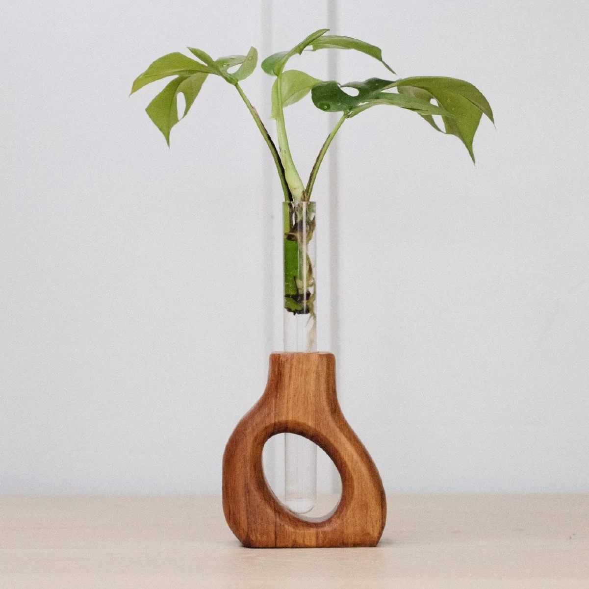 Slant Prop - 5-2.jpg