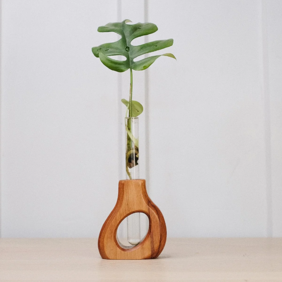 Slant Prop - 6-2.jpg