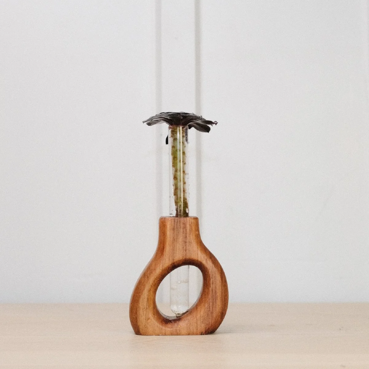 Slant Prop - 1-2.jpg