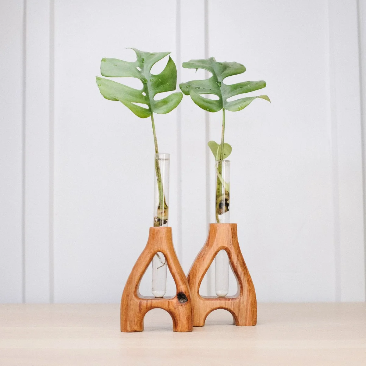 Wooden propagation station made from reclaimed NZ timber