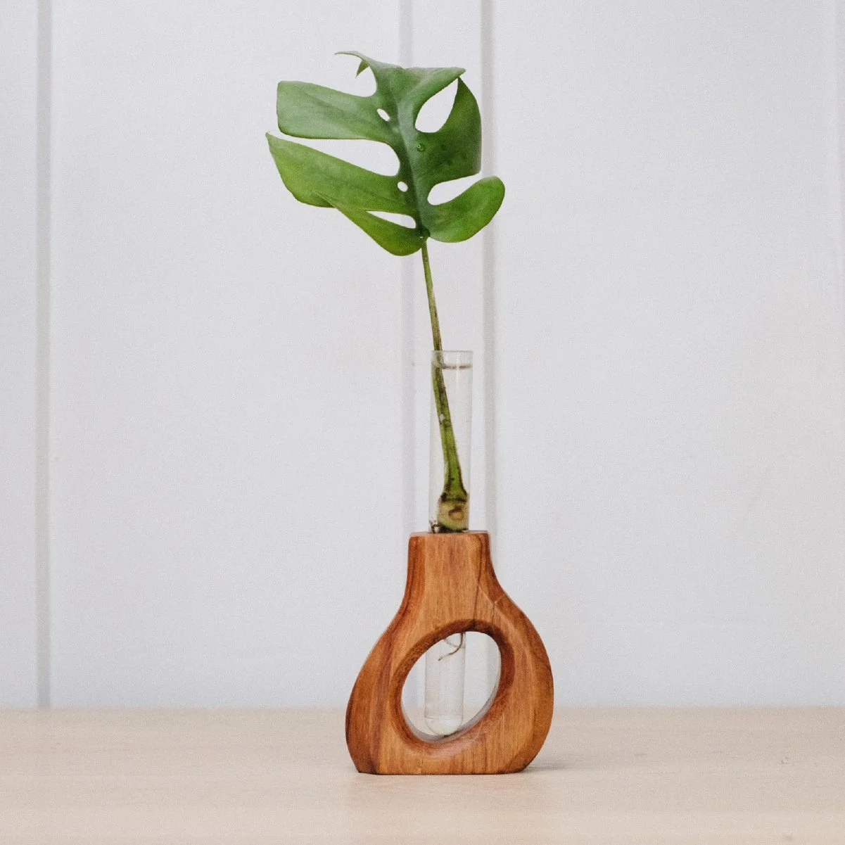 Slant Prop - 4-1.jpg