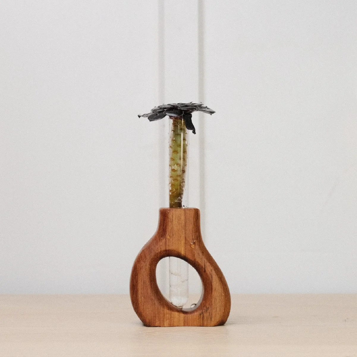 Slant Prop - 1-1.jpg