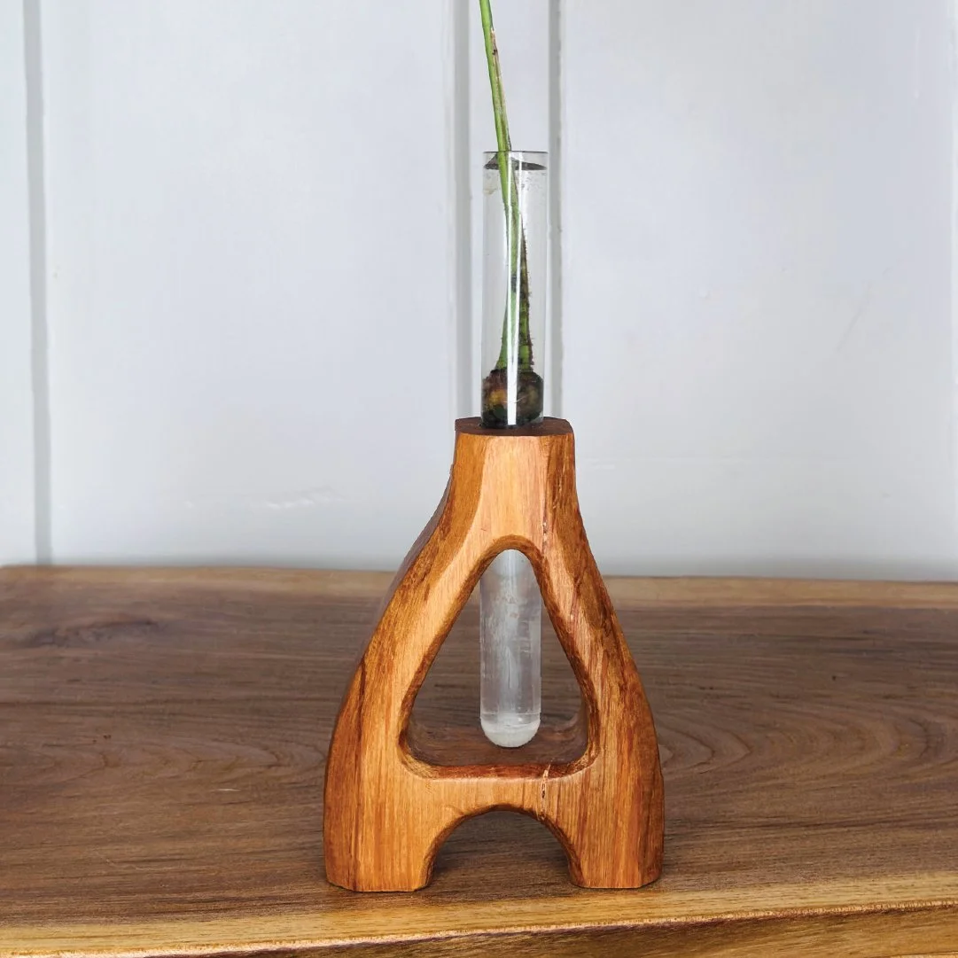Thornbush - Propogation - A - 2.jpg