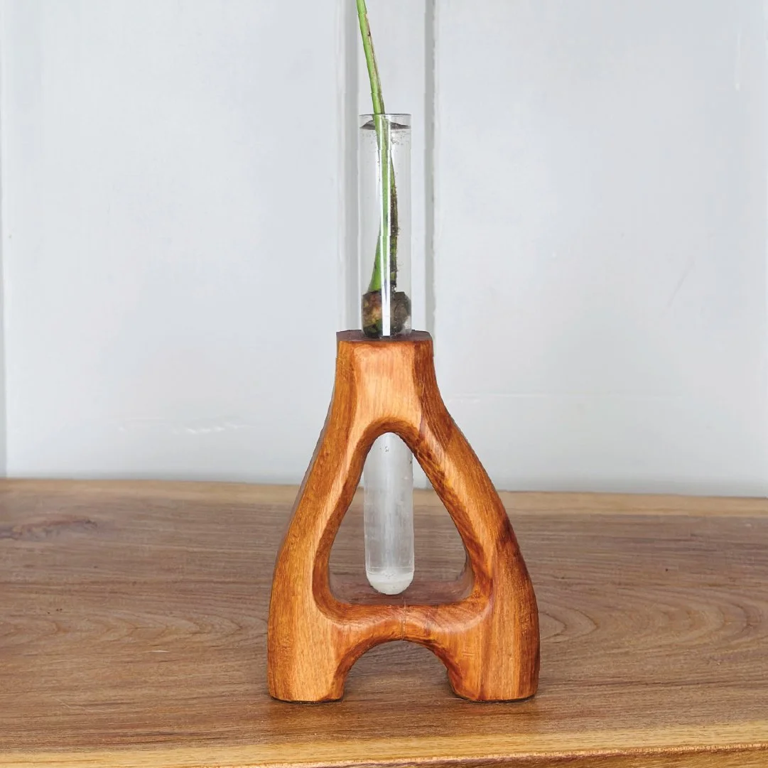 Thornbush - Propogation - A - 3.jpg