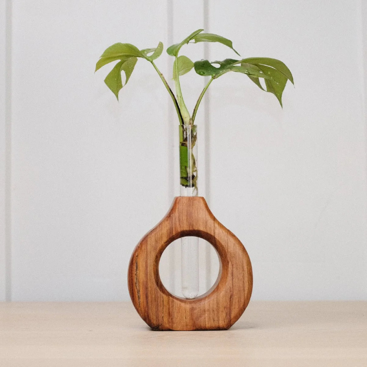 Round Prop - 2-1.jpg