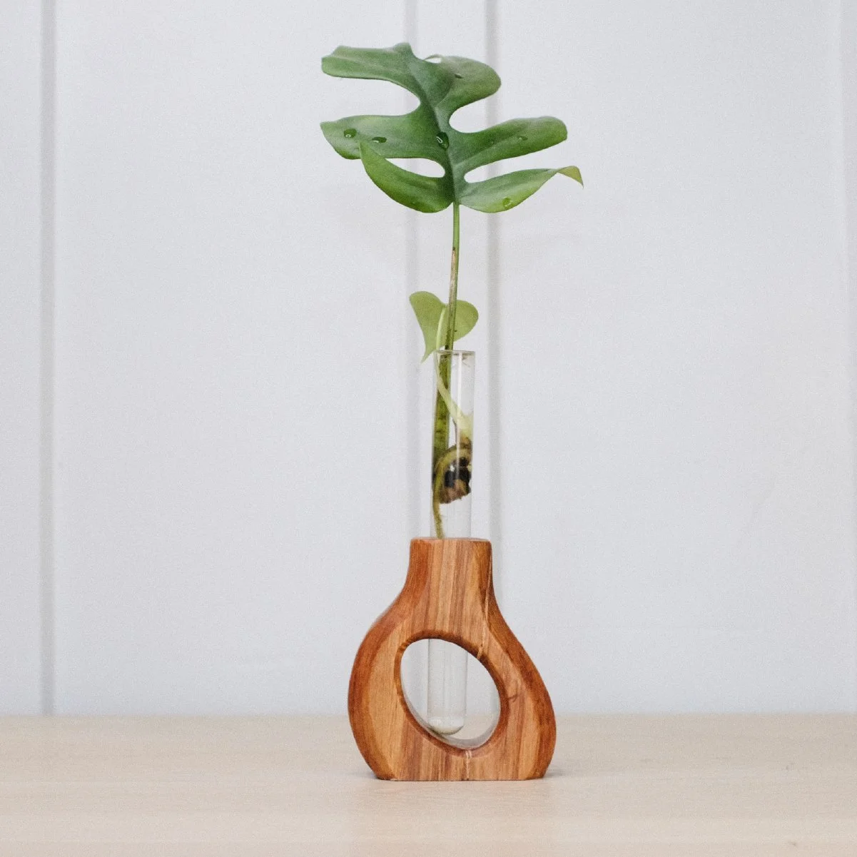 Slant Prop - 6-1.jpg