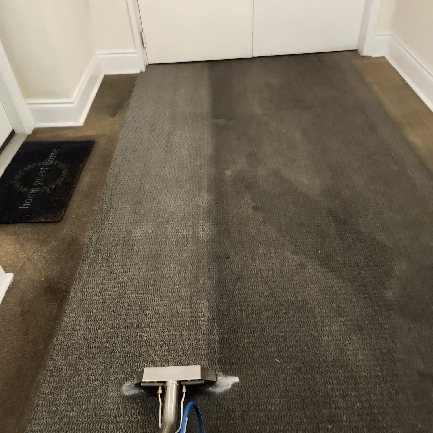 Servicio de Limpieza de Carpetas