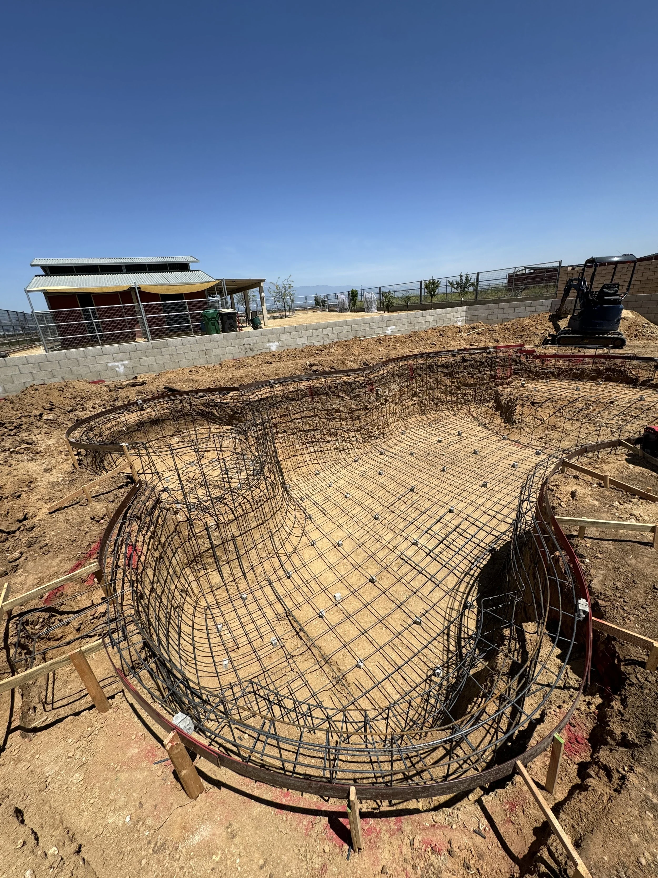 Construction site with a rebar framework for a swimming pool, surrounded by wooden stakes, on a dirt lot under a clear blue sky, with a building and fencing in the background.