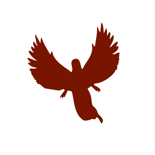 FIVE QUESTION EMAIL READING