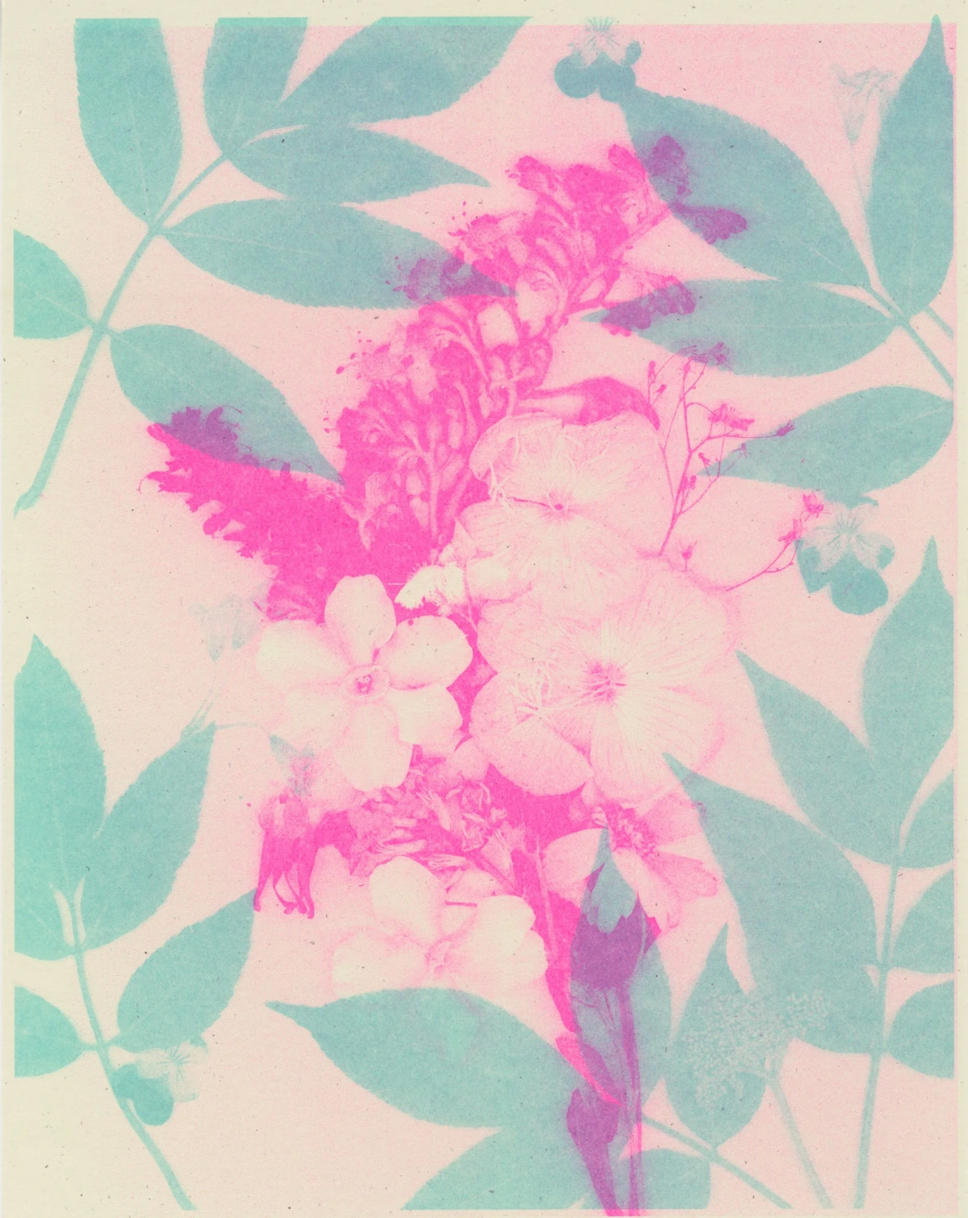 Plant Prints: Riso Workshop