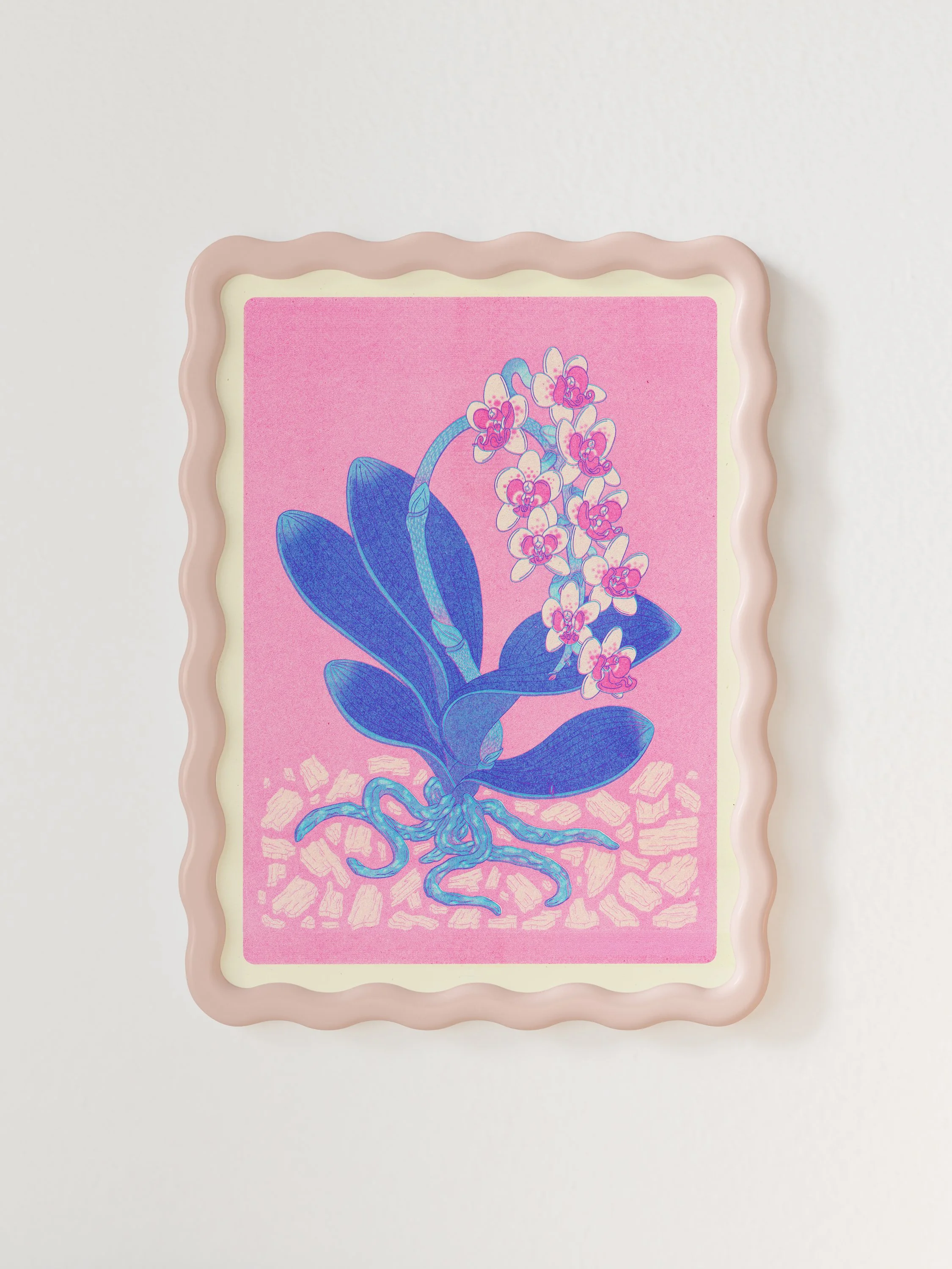"Phalaenopsis Orchid" Riso Print