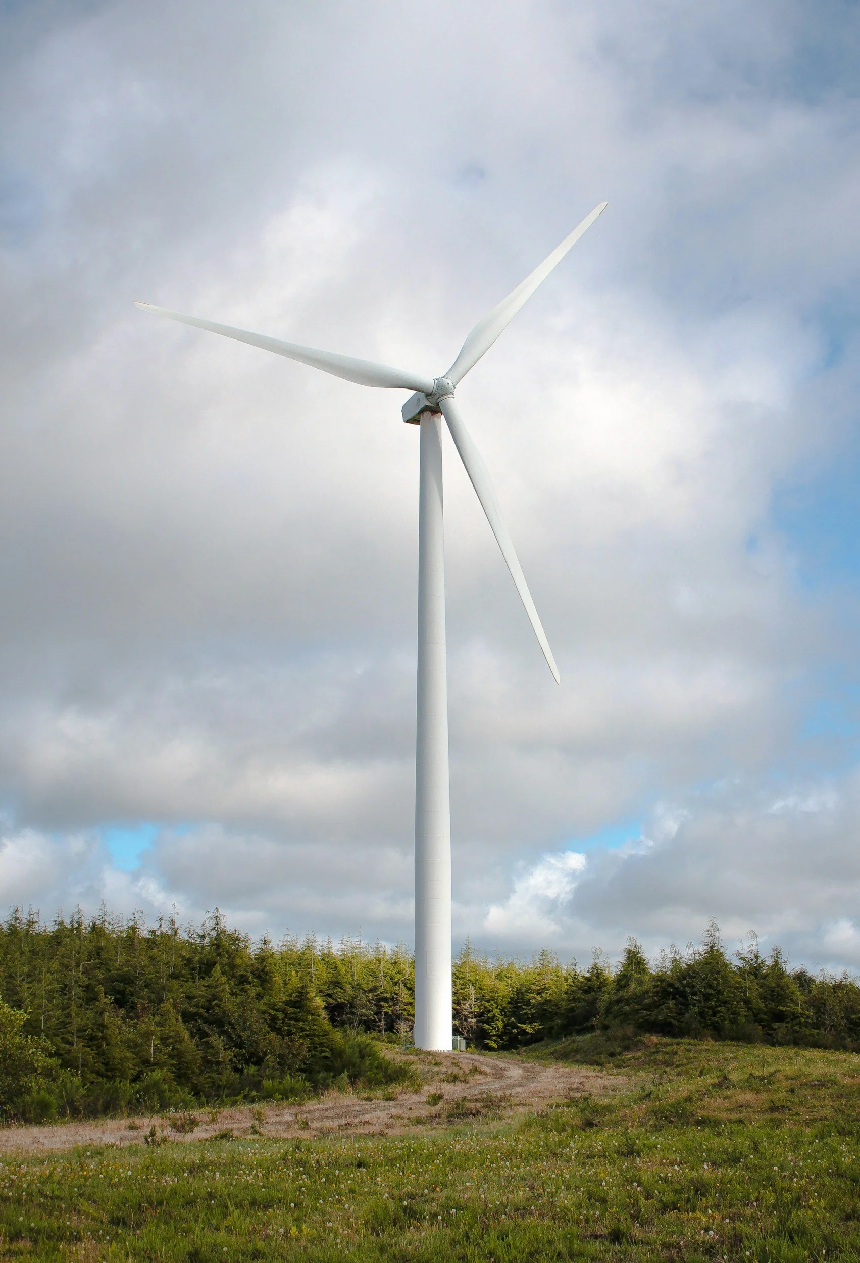 A tall white wind turbine standing in a grassy field with trees in the background, under a cloudy sky.