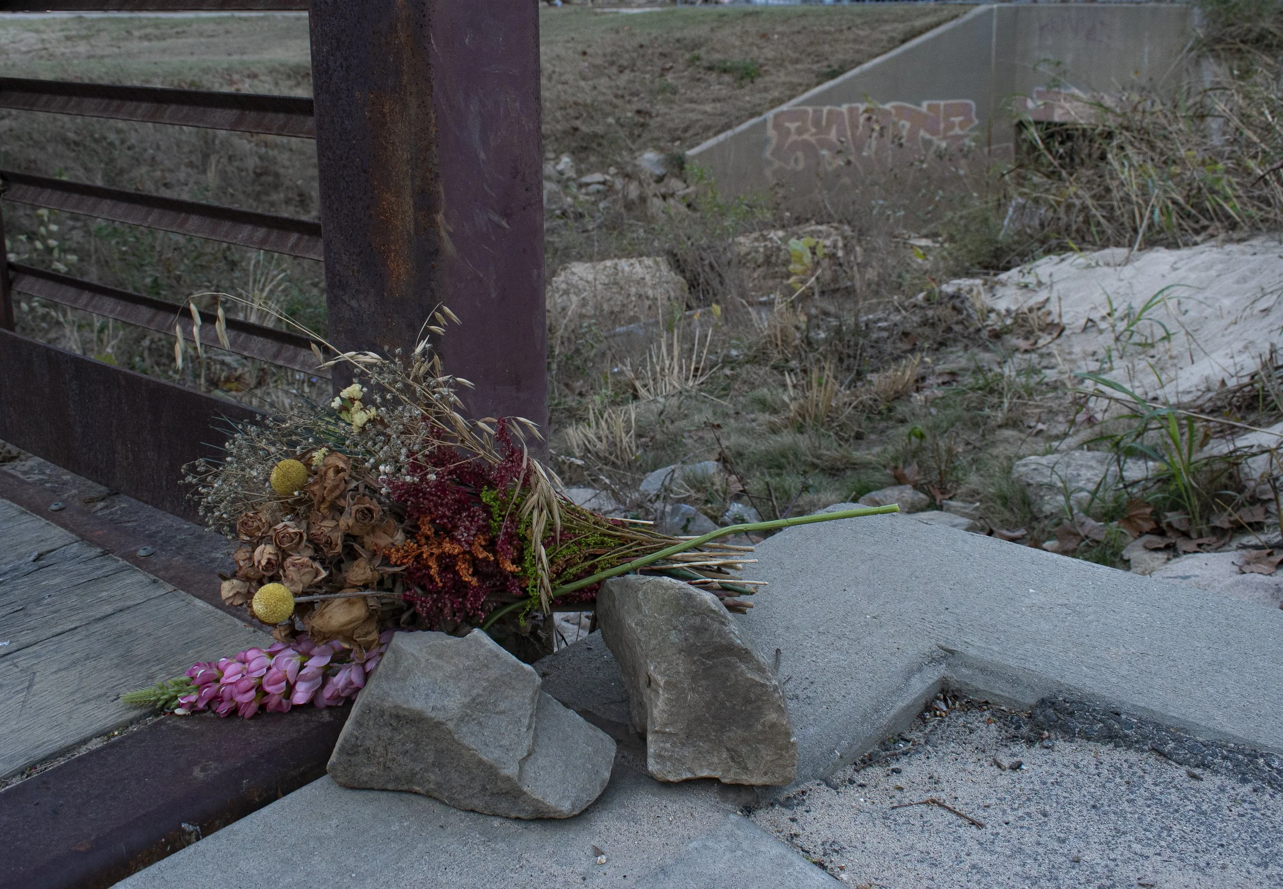 Flowers for Asheville,
2024