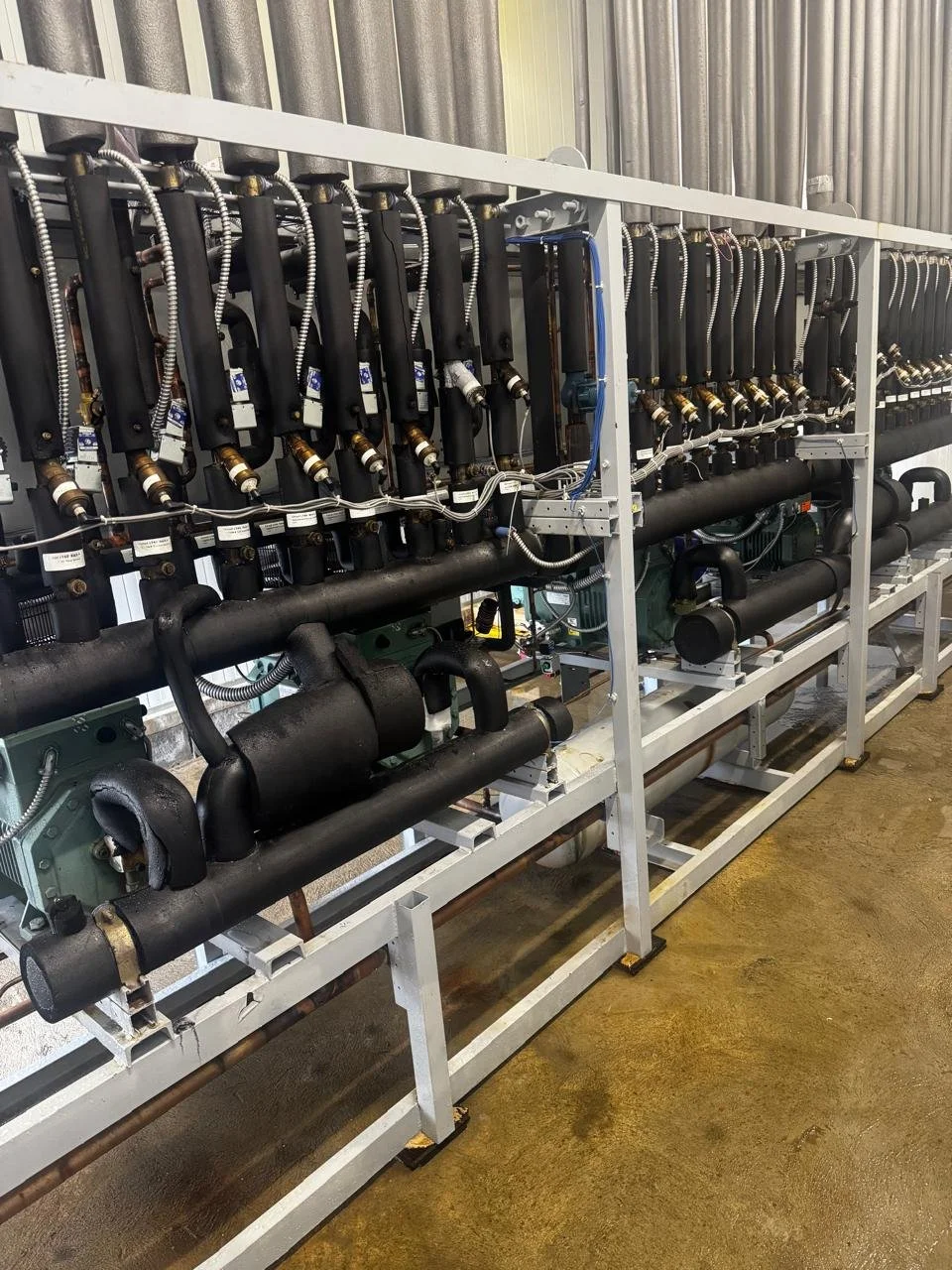 WhatsApp Image 2025-11-16 at 20.02.45.jpeg