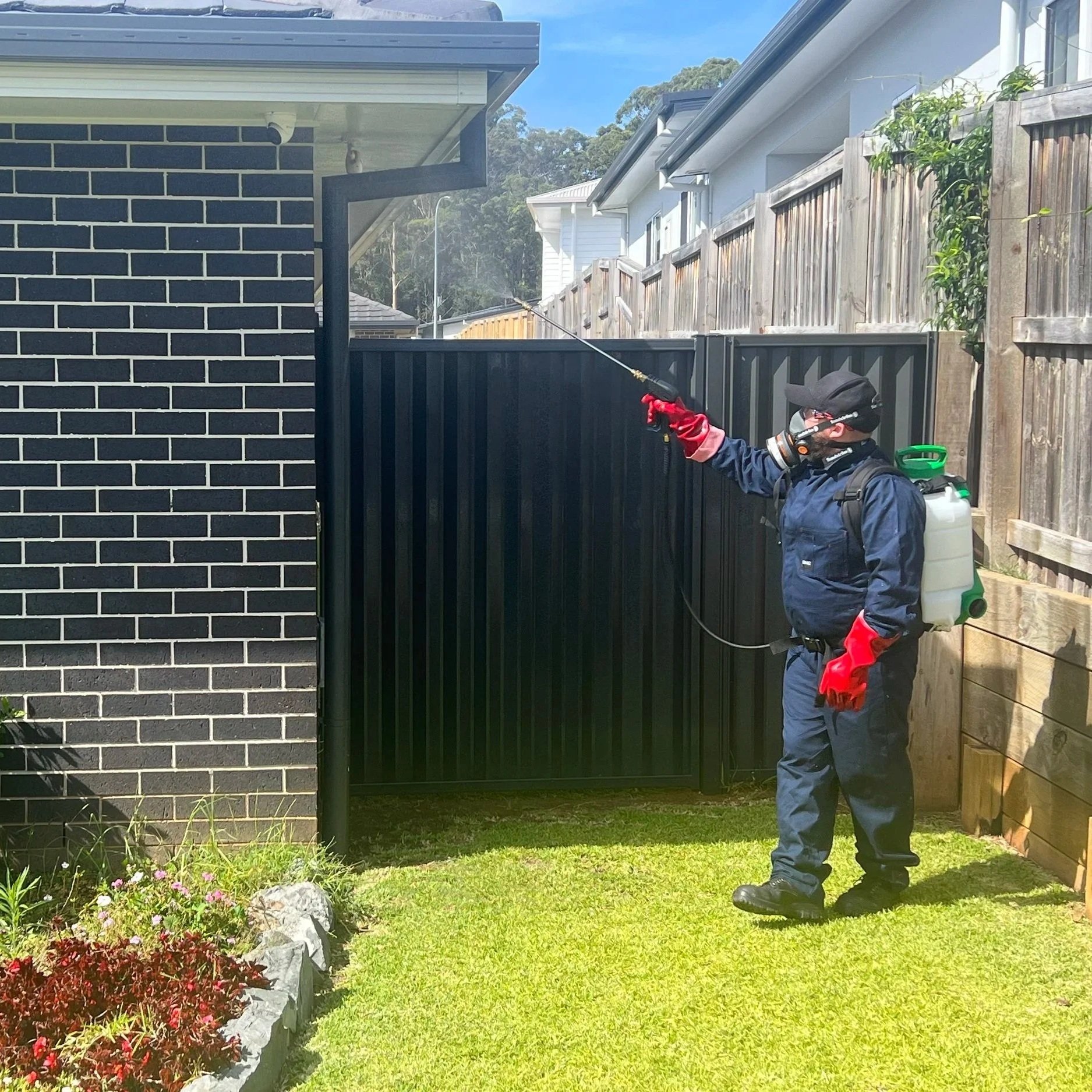 Pest control in Port Macquarie wearing protective gear, including gloves, a mask, and a backpack sprayer, is spraying chemicals on a black fence in a backyard.