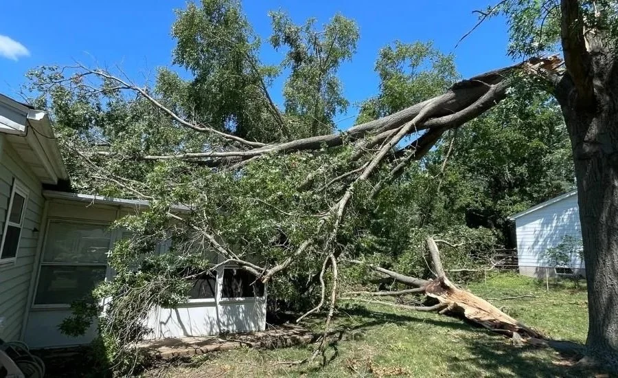 Large tree branch on house