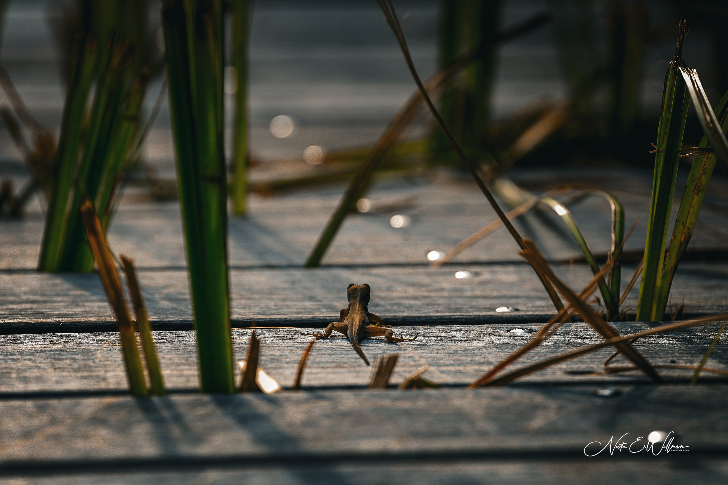 Untitled-4.jpg