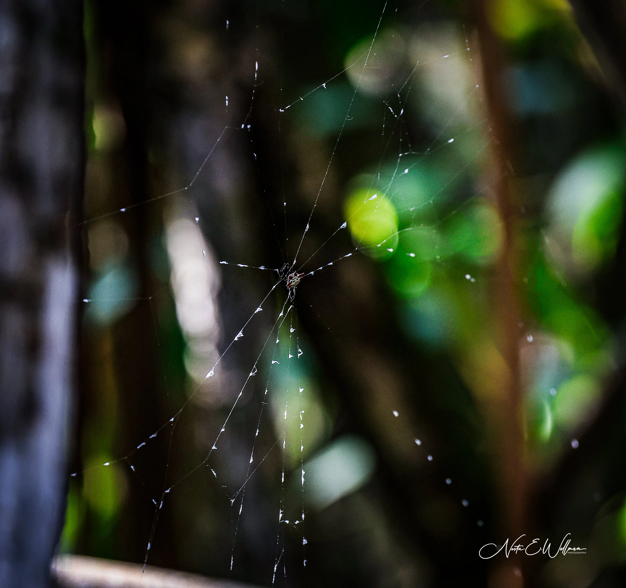 Untitled-8.jpg
