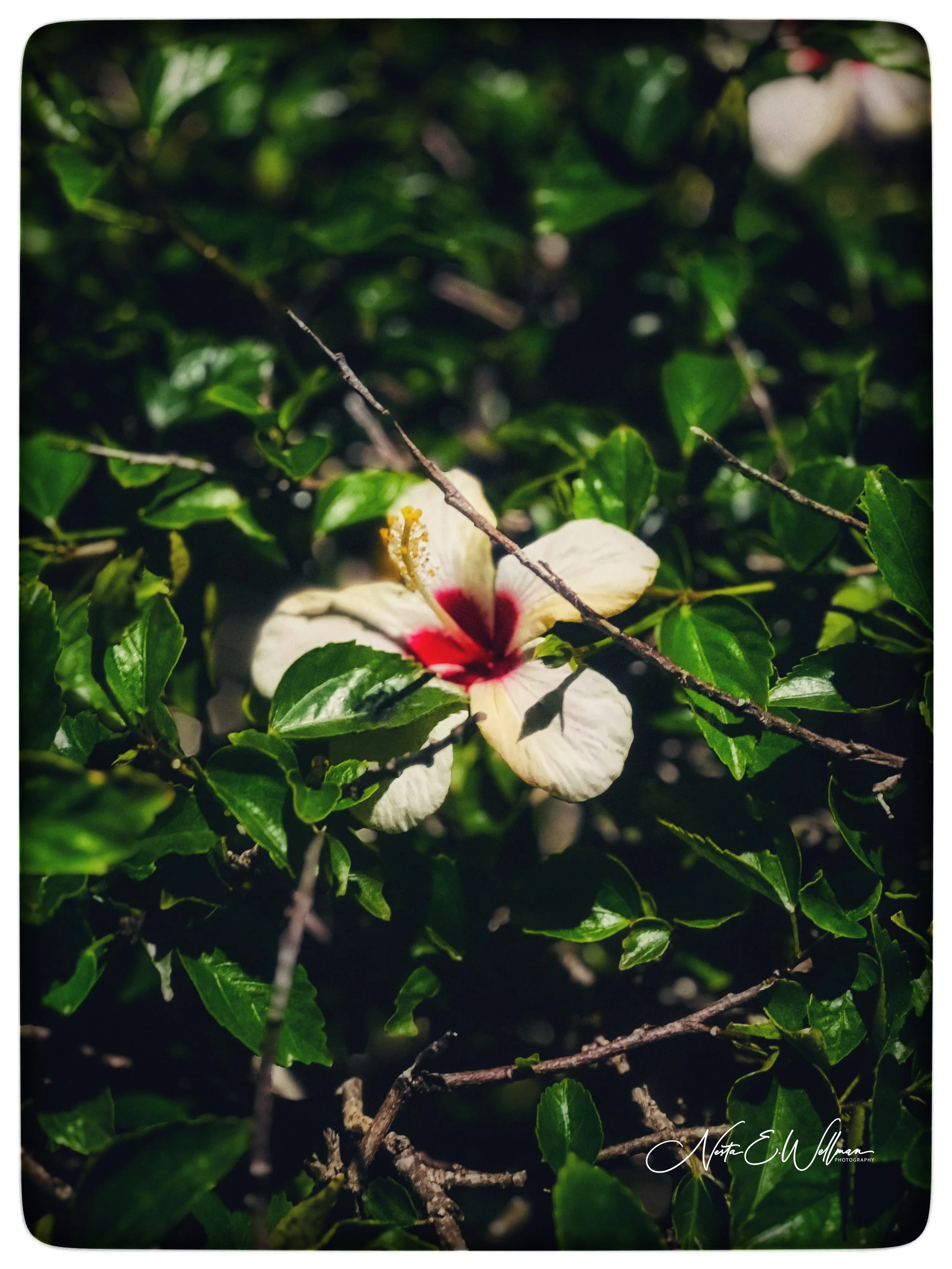 2024011806251842-7149277188261724300- (1).jpg