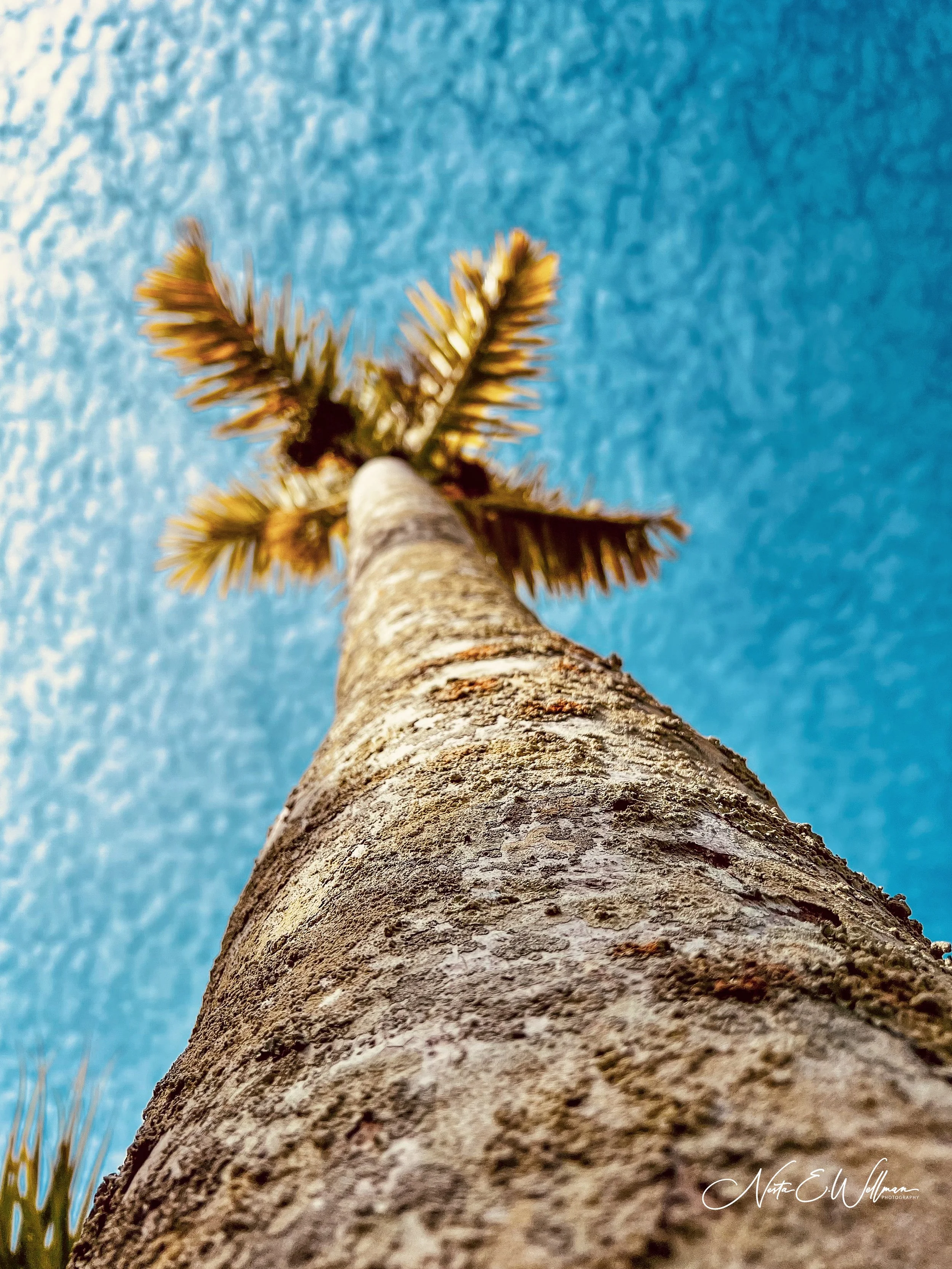 2022062510325858--5075952343144099651-IMG_5487 (1).jpg