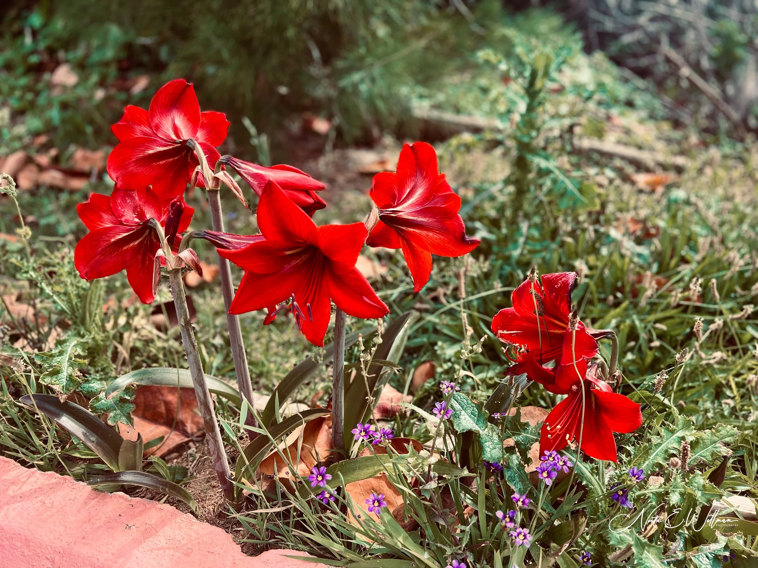 2022062510321236-3391175859703613346-IMG_5384 (1).jpg