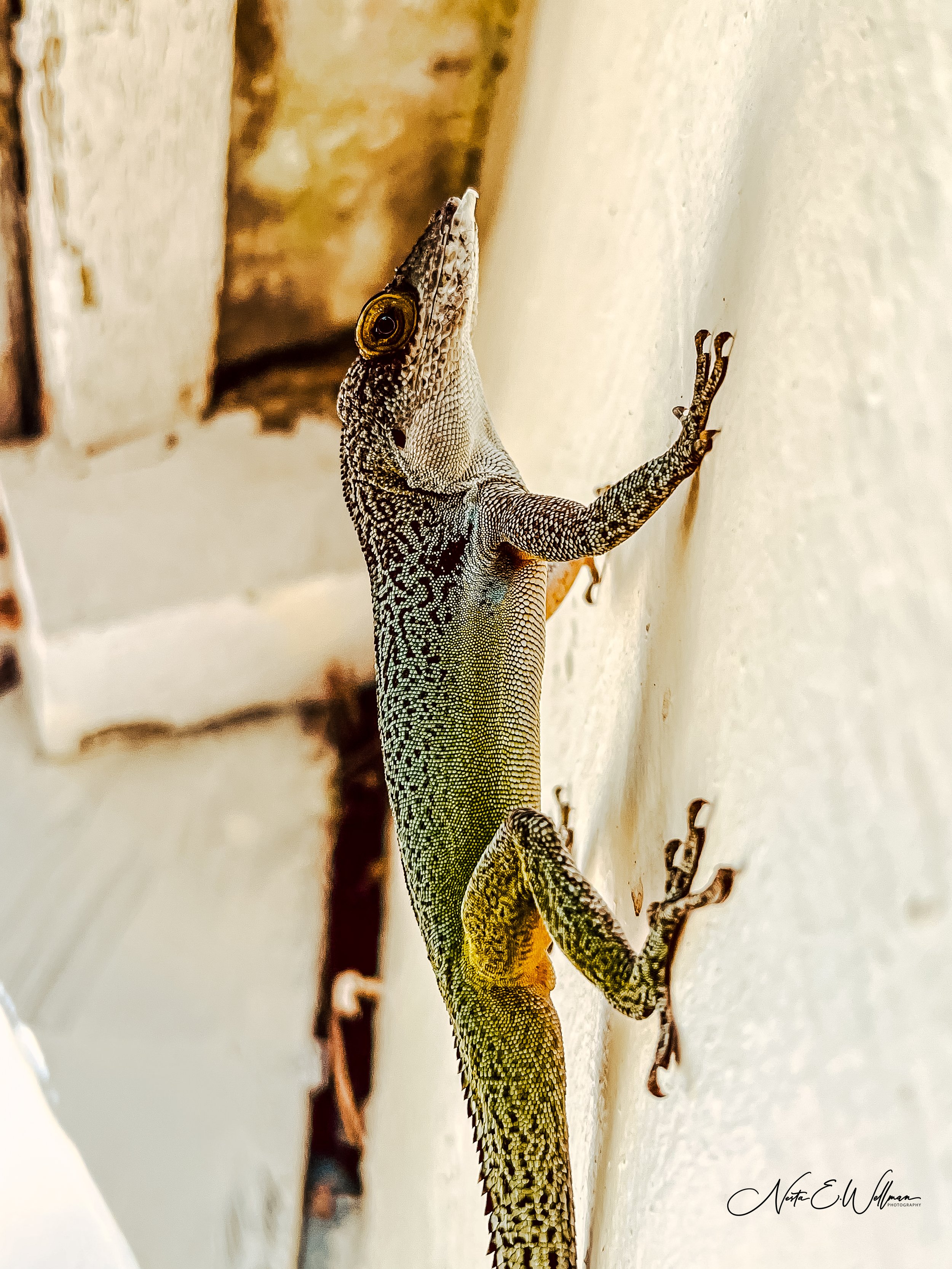 2022062510271553--39537091054115577-IMG_2523 (1).jpg