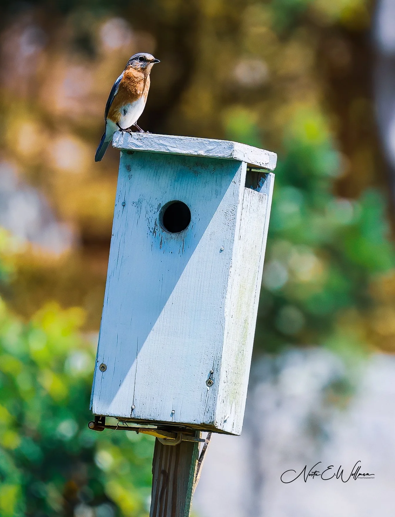 2023050207011827--8695691132131885492 (1).jpg