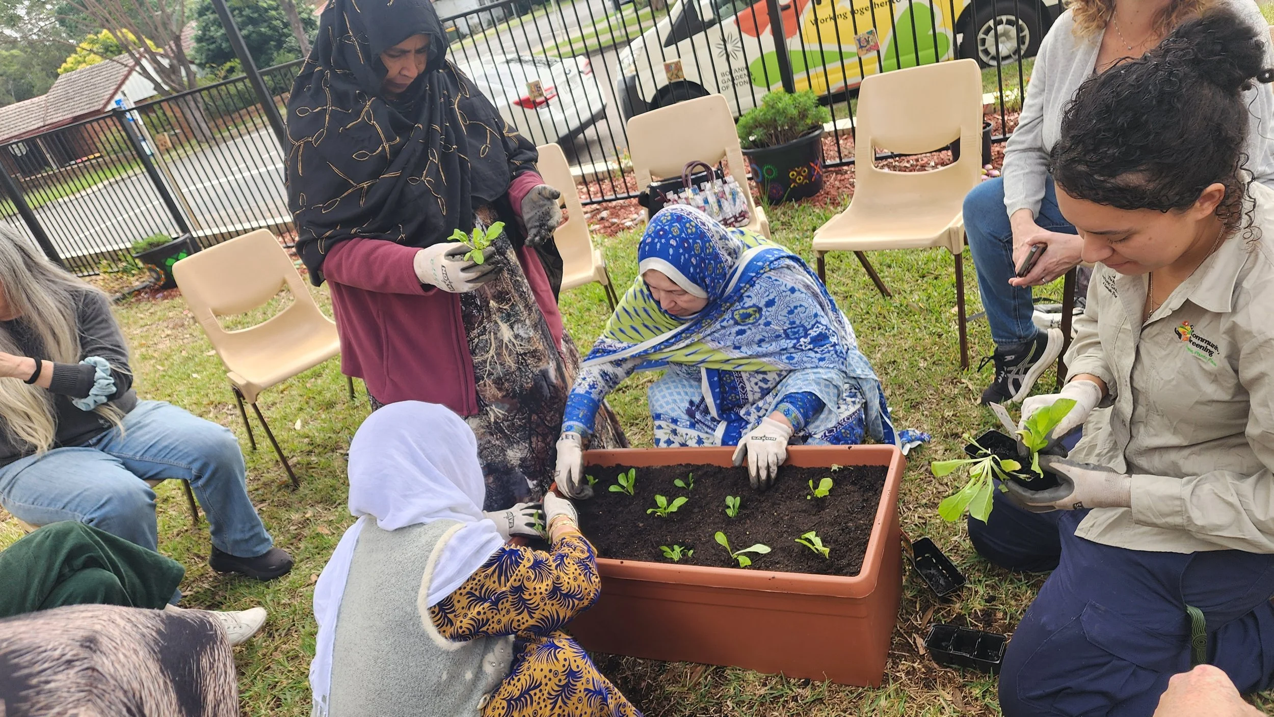 Several women and a girl planting seedlings in a rectangular planter box outdoors, with chairs and potted plants around, and a fence and street in the background.