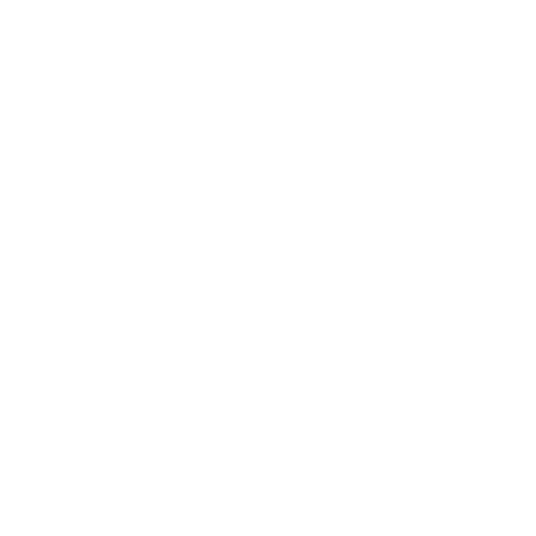 Icon of a speech bubble with a globe inside it representing global communication or internet connection.