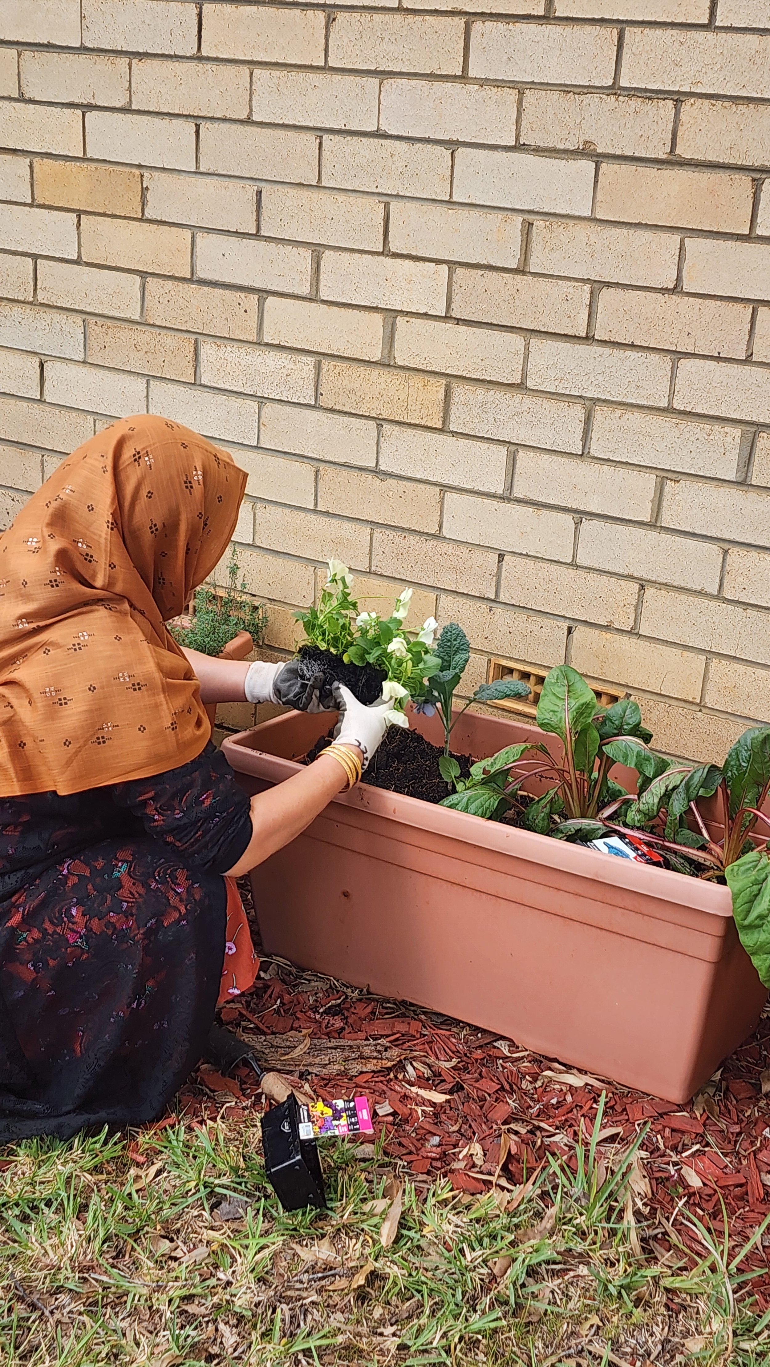 A woman wearing an orange headscarf and white gloves is planting flowers in a rectangular pink planter against a brick wall, with some gardening tools on the ground.