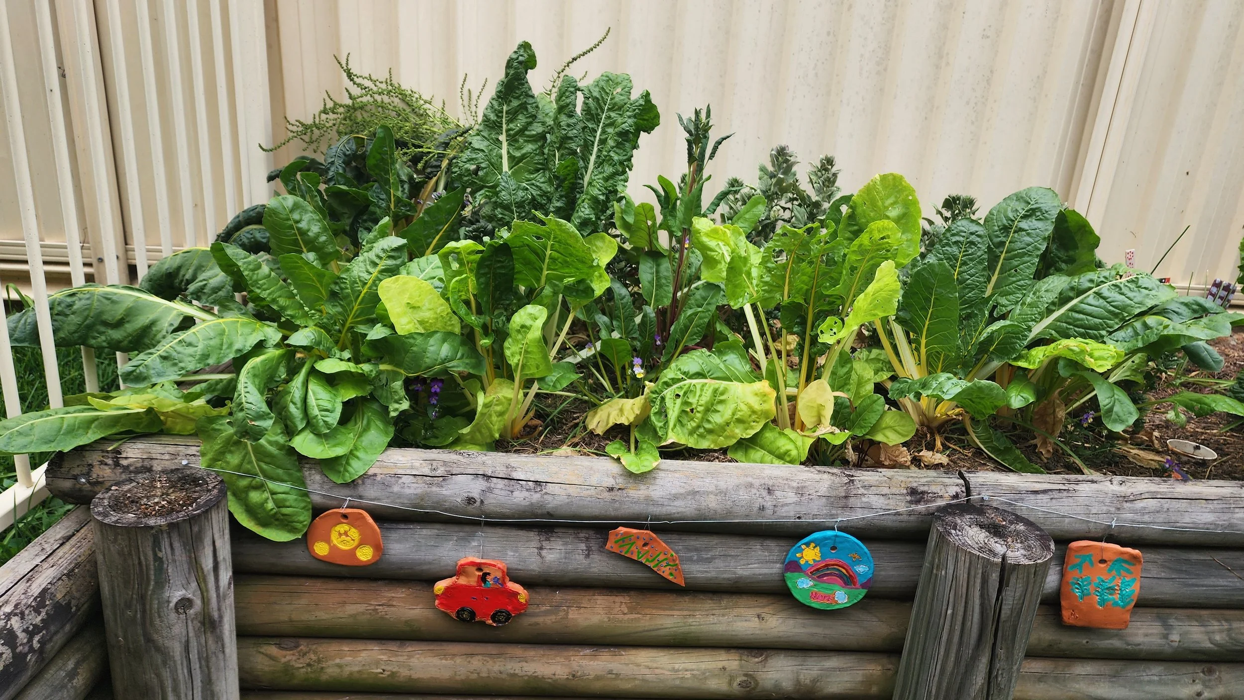A wooden garden bed filled with leafy green plants outdoors, decorated with colorful handcrafted stones hanging on the edge.