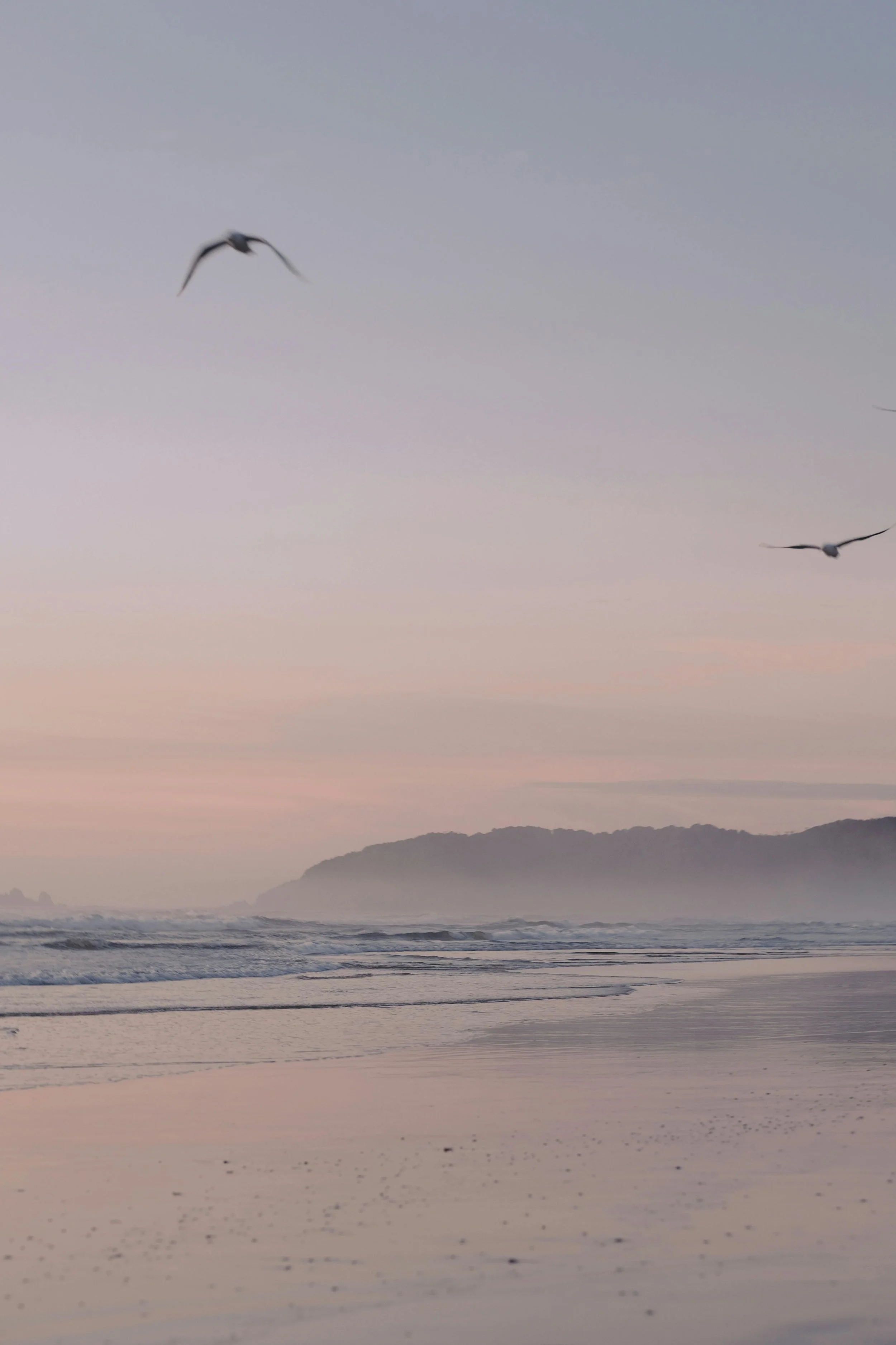 Seaside beach at sunset with two seagulls flying in the sky and gentle waves washing onto the sandy shore, with a distant mountain in the background.