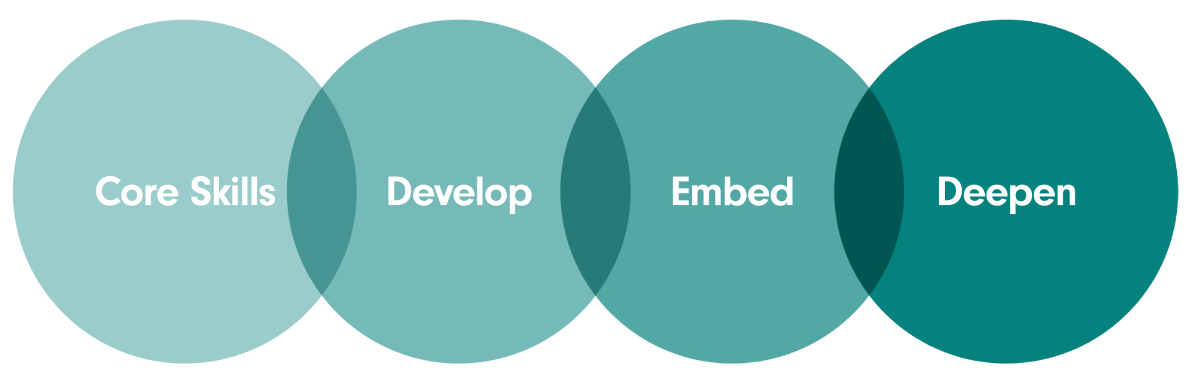 Coaching Programme Journey