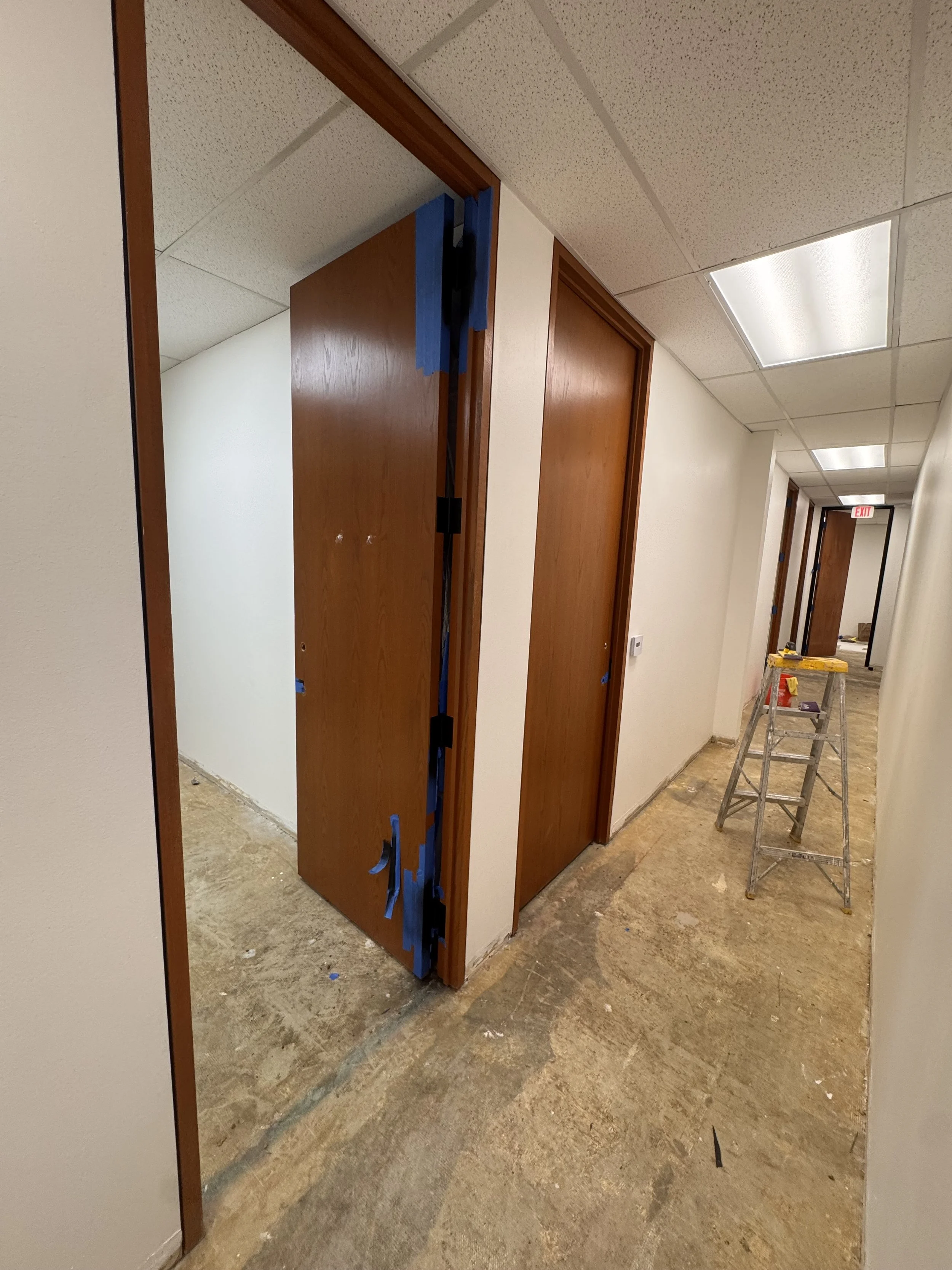 Hallway doors before renovation — original worn state
