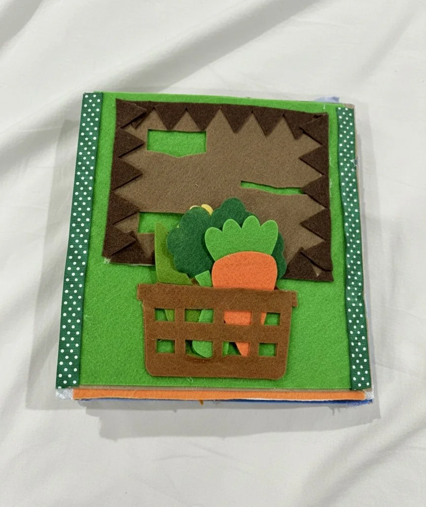Educational Felt Book, Baby Sensory, Handmade, Personalised, Custom, Sensory Experiences, Fine Motor, Baby Gift, Toddler Gift, Unique Gift, Handmade