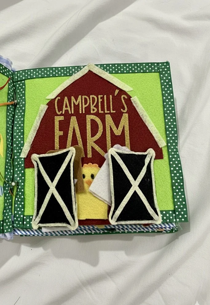 Educational Felt Book, Baby Sensory, Handmade, Personalised, Custom, Sensory Experiences, Fine Motor, Baby Gift, Toddler Gift, Unique Gift, Handmade