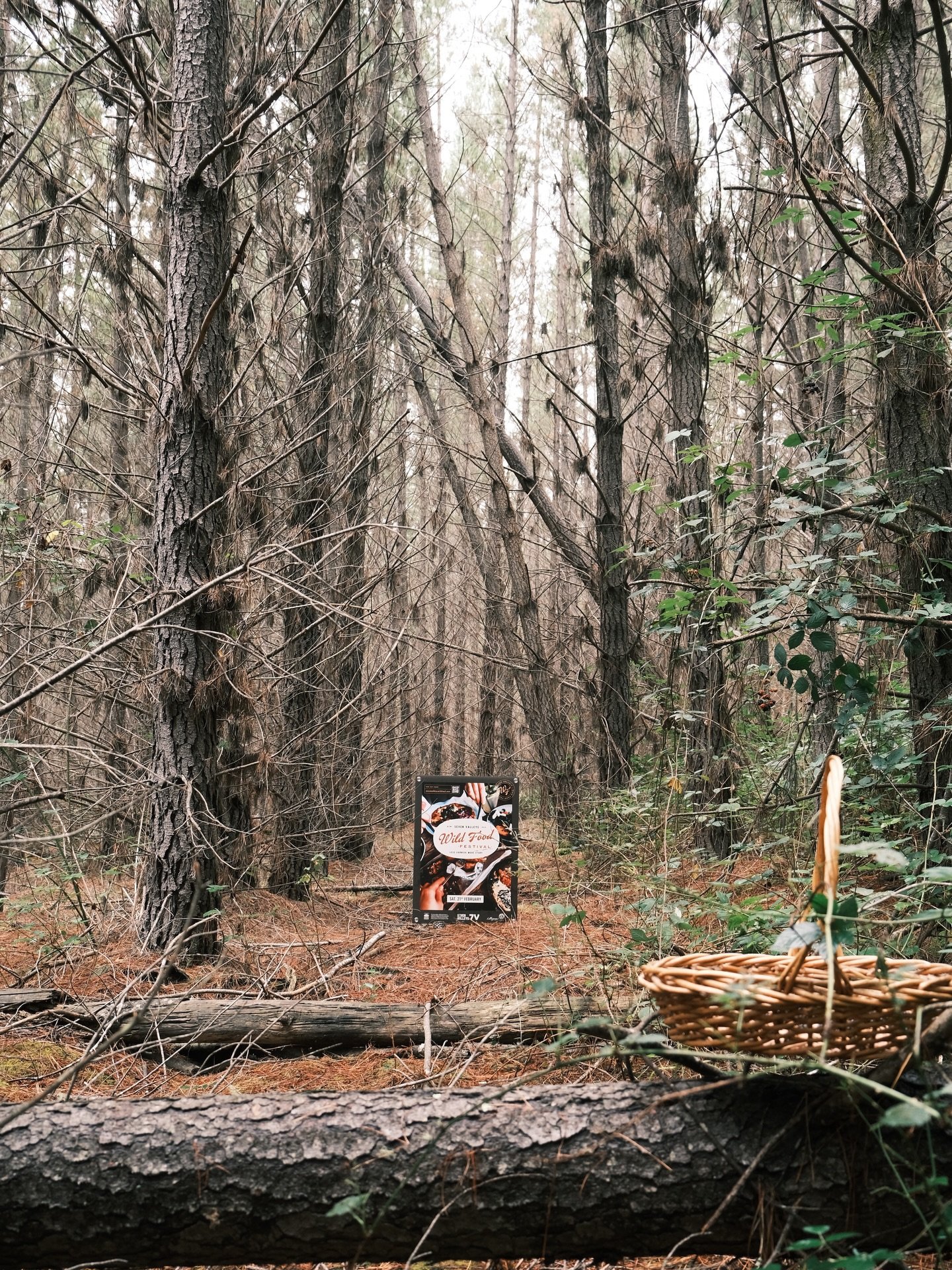 This weekend. The wild comes to Main Street Lithgow for the first ever Seven Valleys Wild Food Festival. 

Discover something new, remember our shared stories. 

Saturday 21 February

Find out more www.sevenvalleyswildfood.com