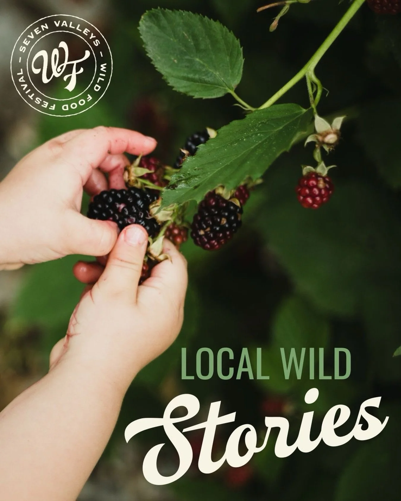 The people of Lithgow share a deep connection to the wild foods of the Seven Valleys, with generations of stories centred around picking, foraging, fishing and hunting. From blackberries and mushrooms to rabbits, yabbies and trout, these traditions r