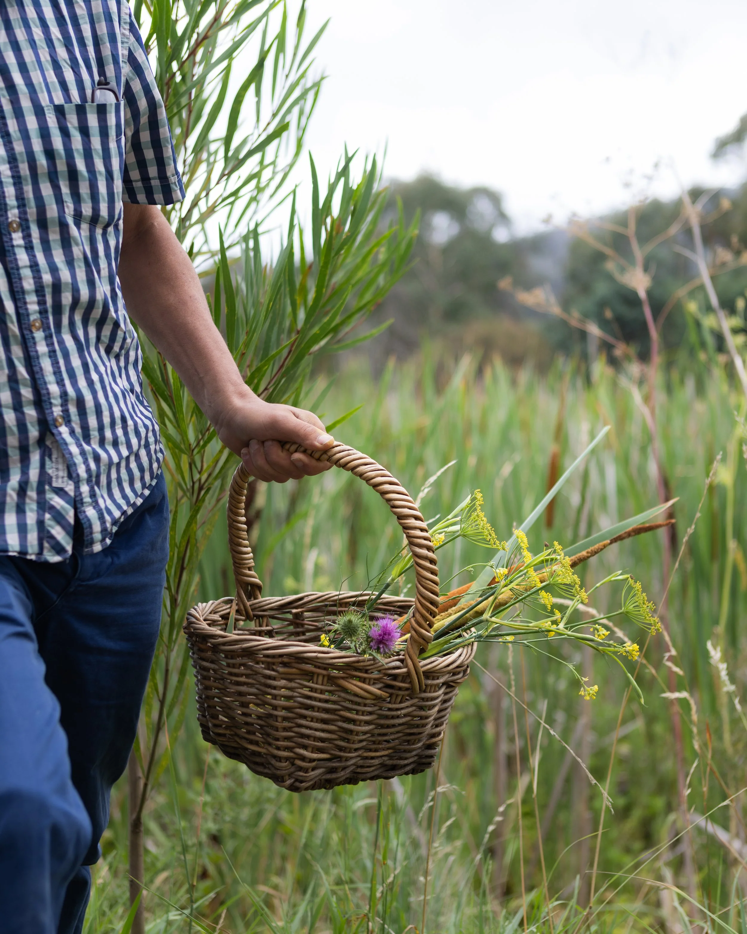 Things to do on Sunday