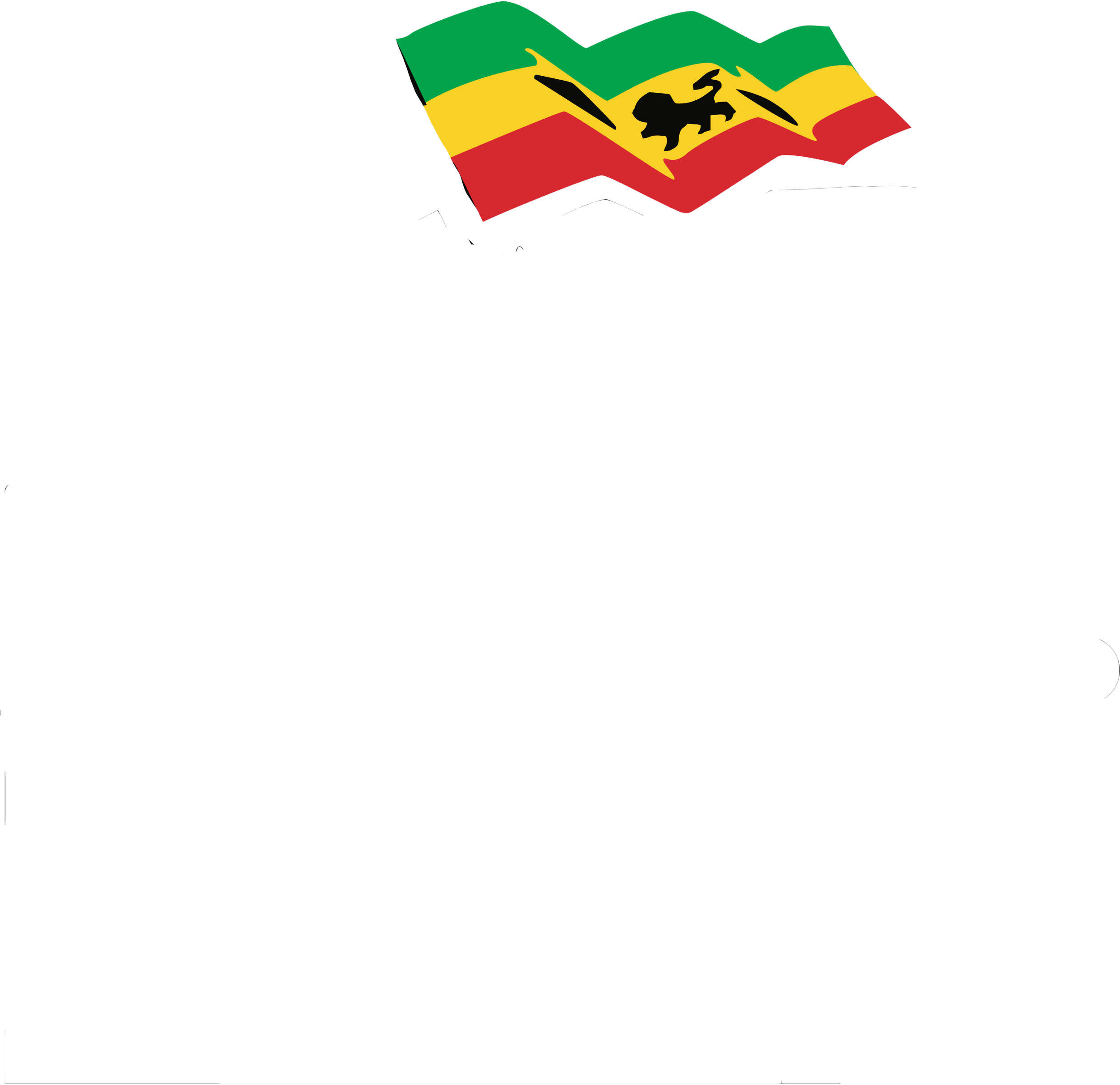 Black and white logo for the Bob Marley Foundation with a hand holding a Rastafarian flag featuring red, yellow, green, and black colors with a lion symbol.