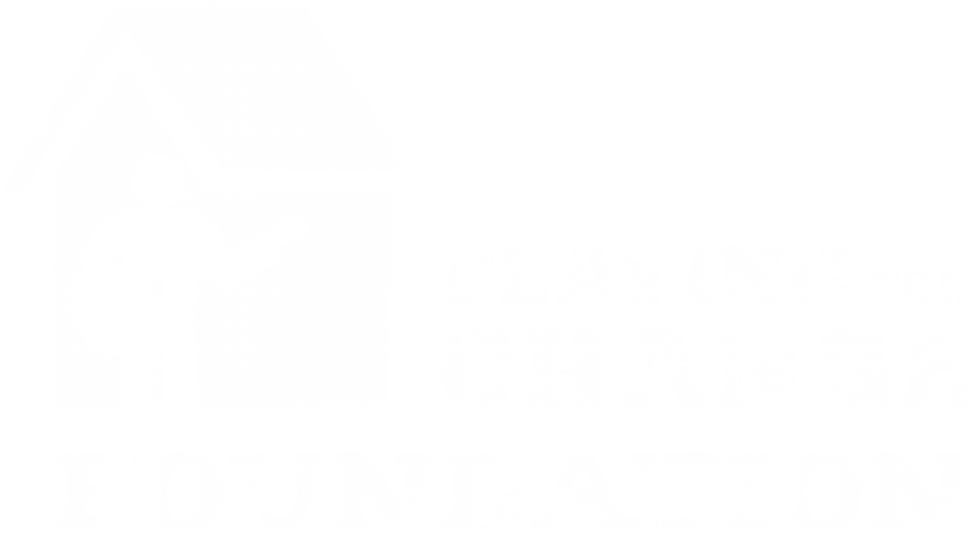 Logo with a house outline, a figure playing a guitar inside, and text that reads 'Playing for Change Foundation'