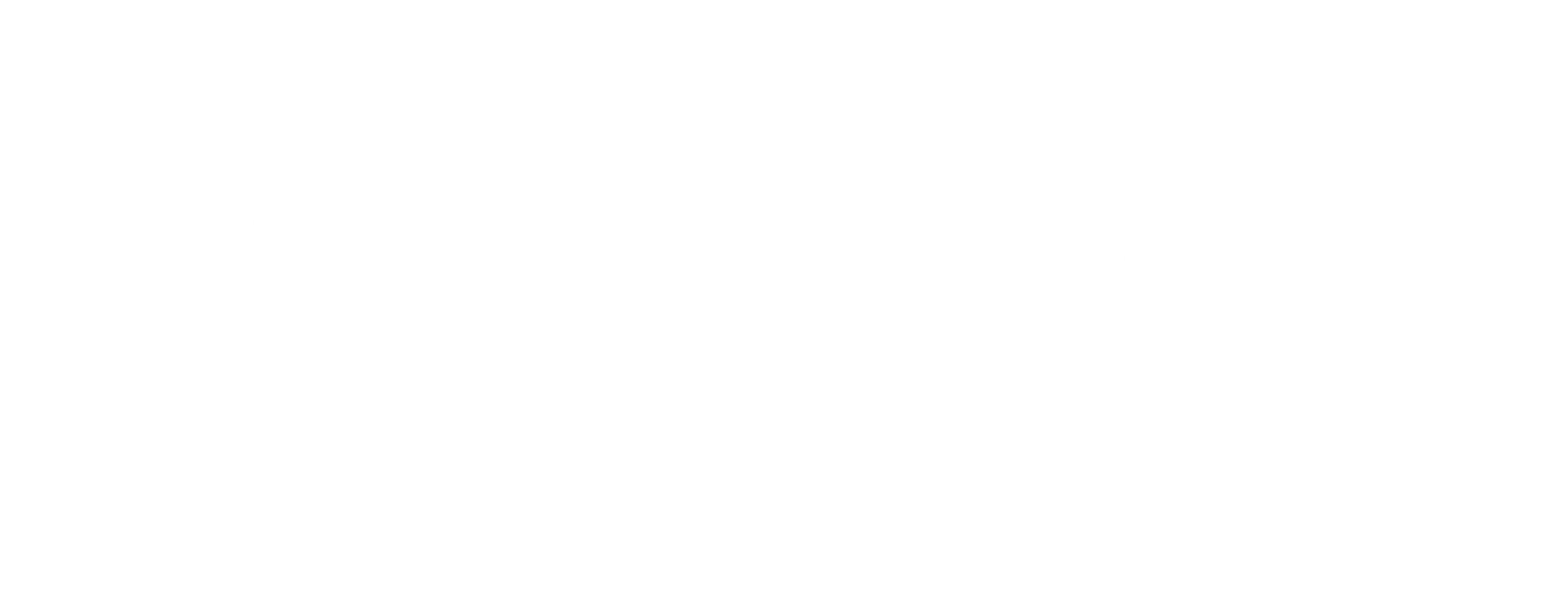 The Food Chicks logo in white text on a black background.