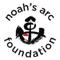 Logo of Noah's Arc Foundation featuring a black anchor with a red detail, surrounded by the name in a circular pattern.