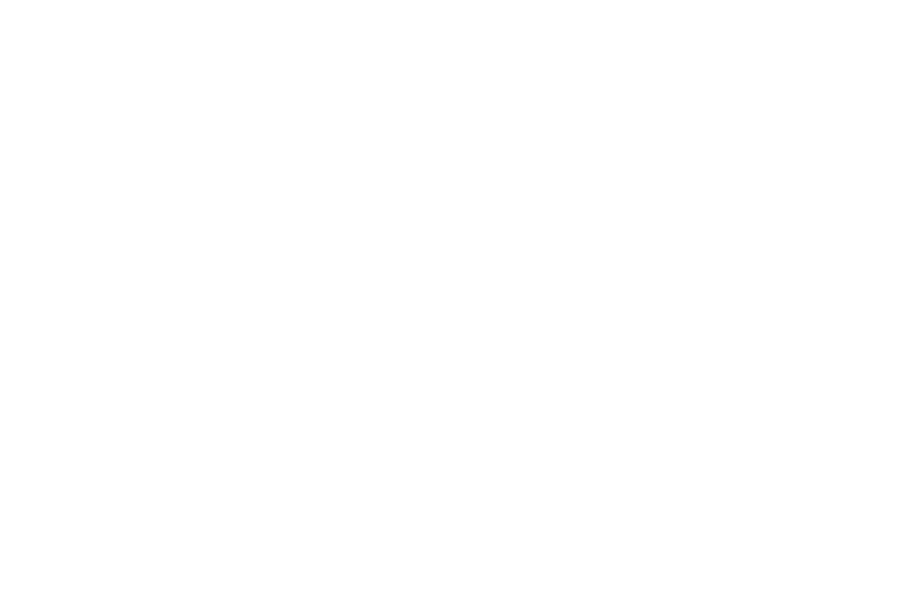 A white background with the black text 'OFFICIAL PARTY' at the bottom.