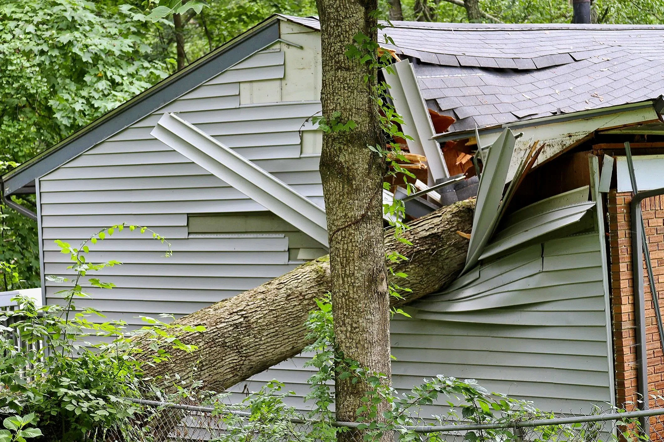 Storm Damage and Repairs