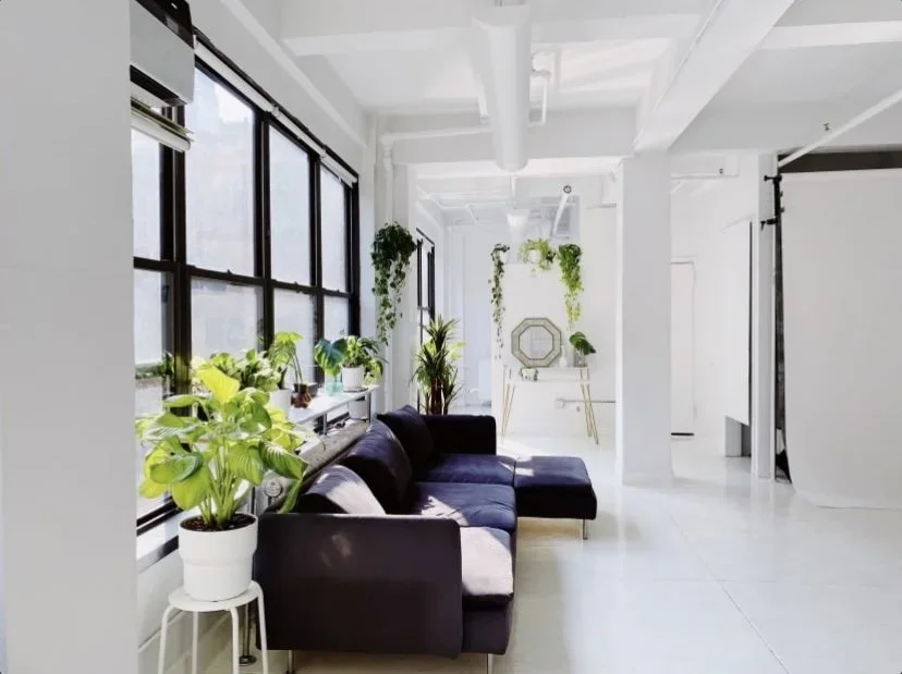 Bright studio interior with black sofa, large windows, and numerous green plants.