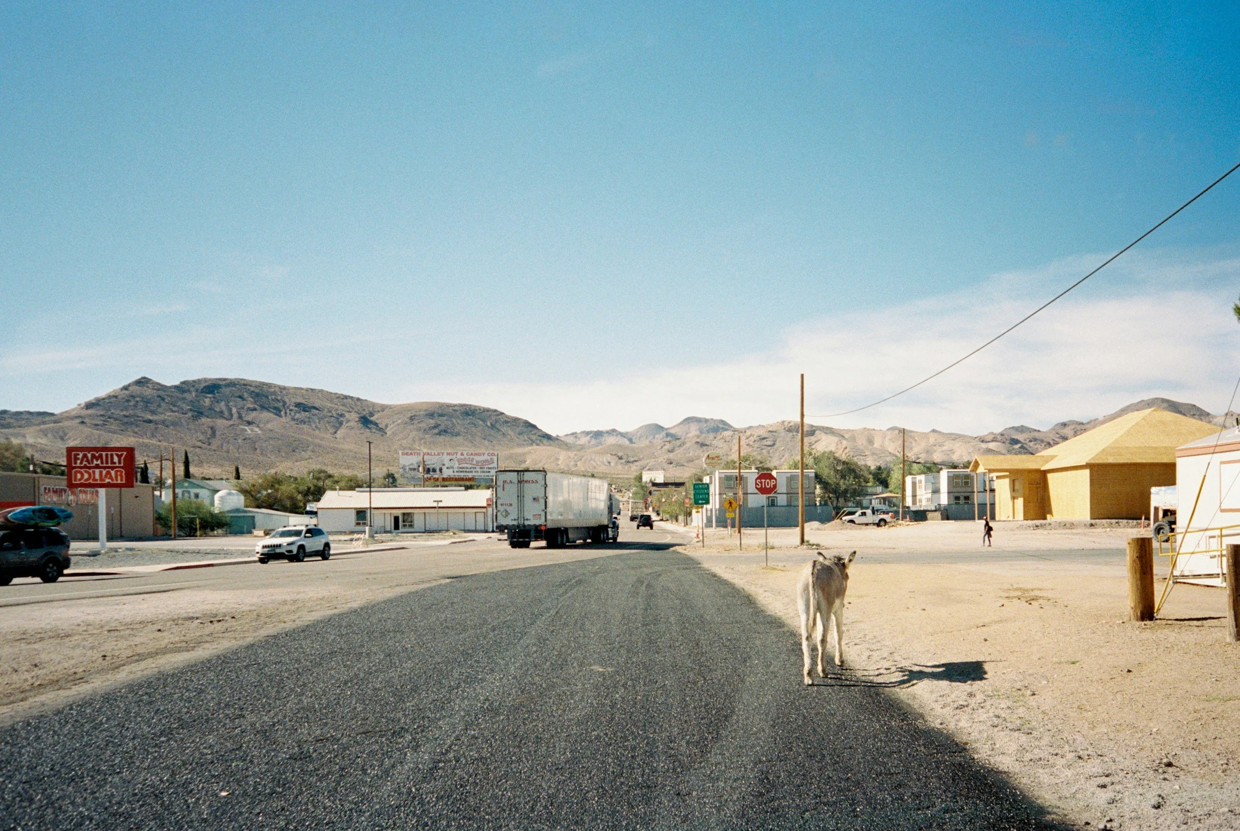 A small town street with a mountain range in the background, showing cars, buildings, a stop sign, and a goat walking on a new black asphalt road.